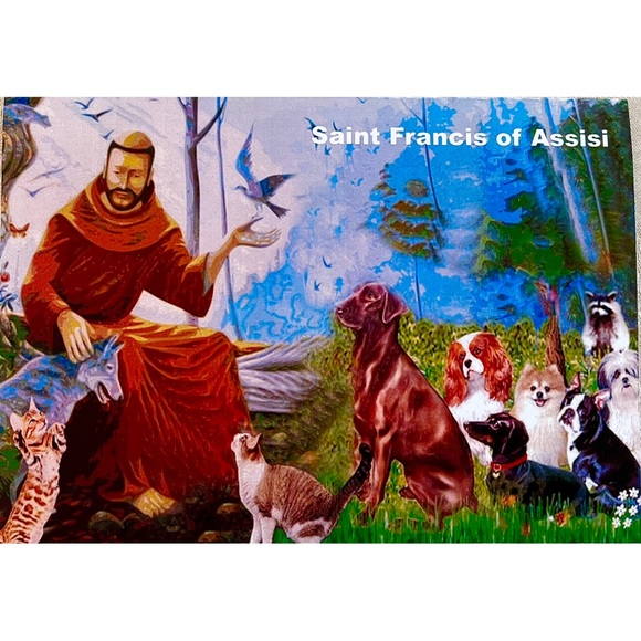 Sterling Silver 18” plated with St Francis Medal Necklace CHARITY - Picture 7 of 12